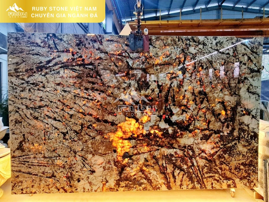 GRANITE | VÀNG SPLENDOR