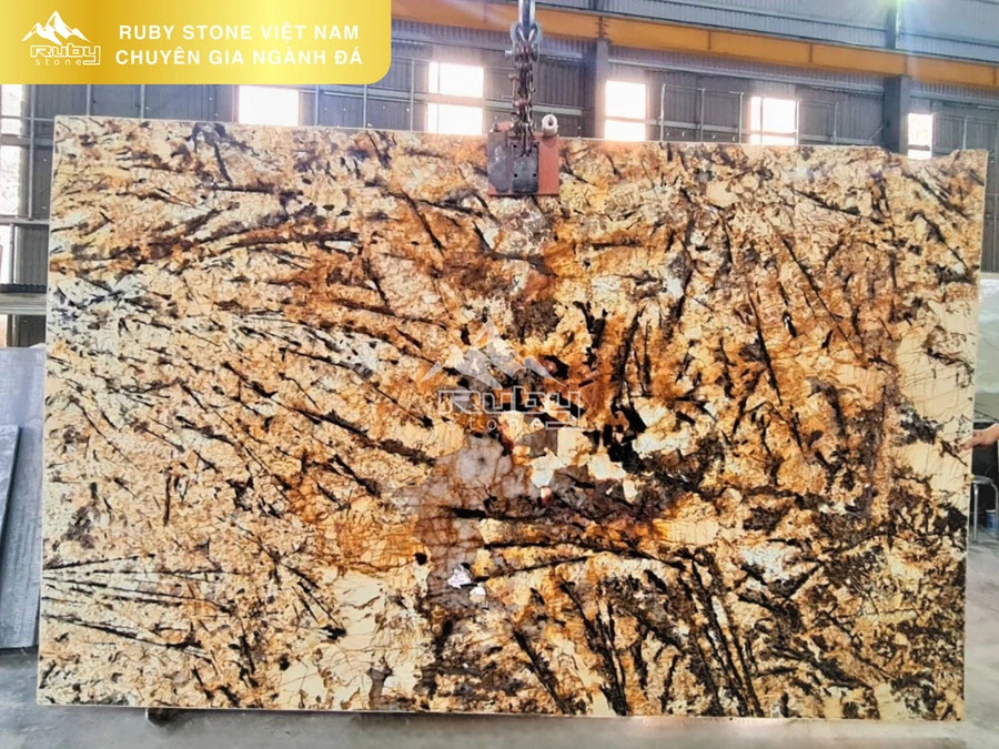 GRANITE | VÀNG SPLENDOR
