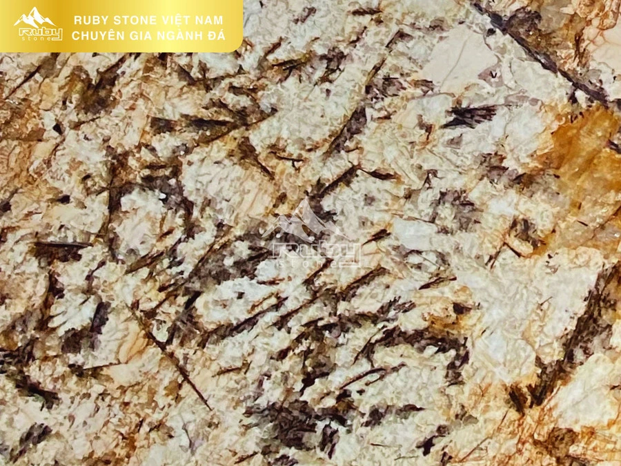 GRANITE | VÀNG SPLENDOR